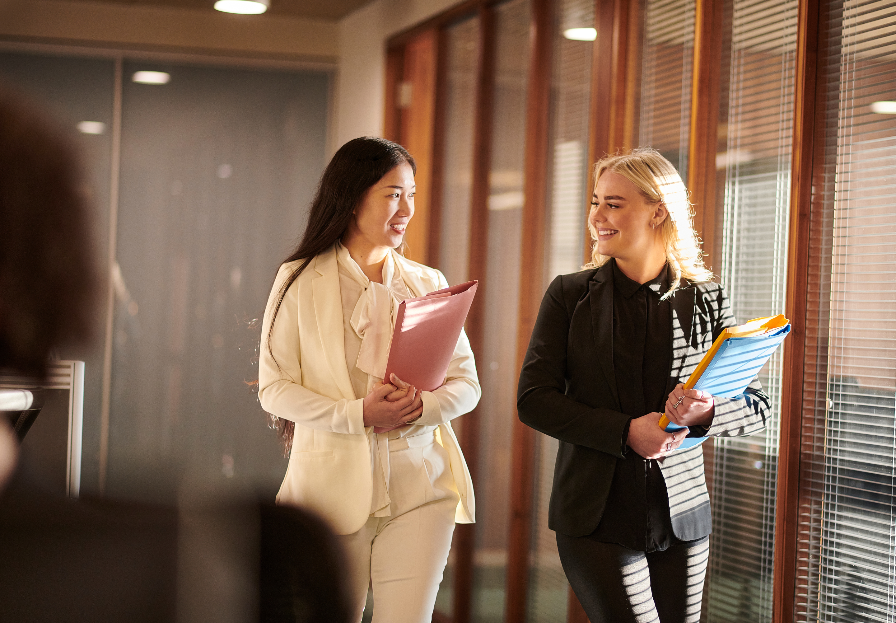 stock image, internship two professionals